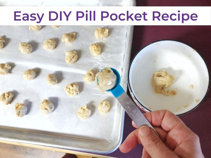 Easy Homemade Pill Pockets for Dogs Recipe
