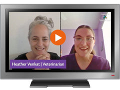 Chat with Veterinarian Heather Venkat