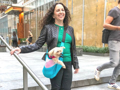 4 Ways To Make a DIY Dog Carrier Sling