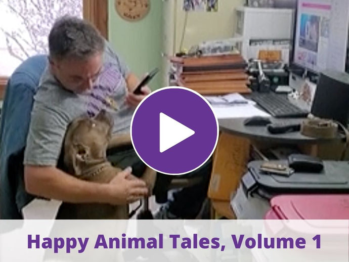 Happy Animal Stories, Edition 1