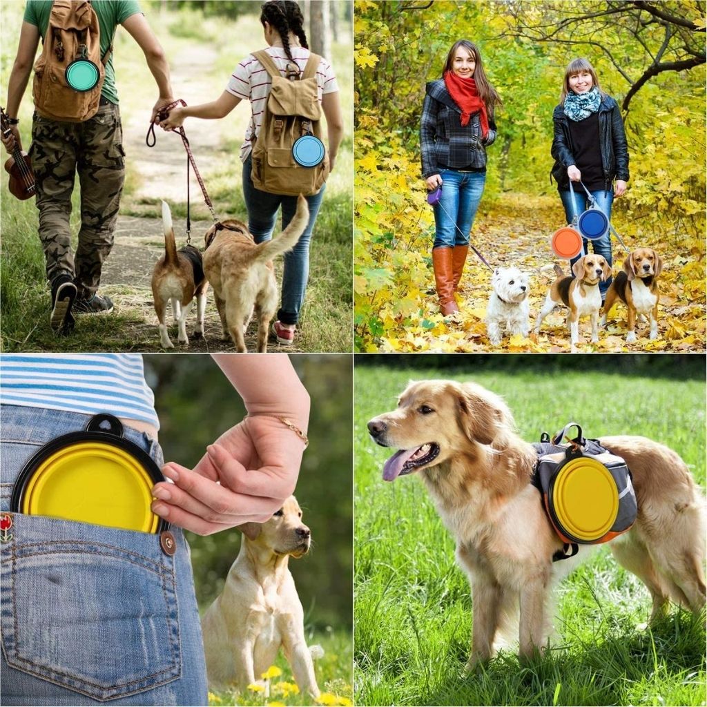 Collapsible Silicone Dog Travel Bowls Are Here! – PocoPet Packable Dog  Carrier